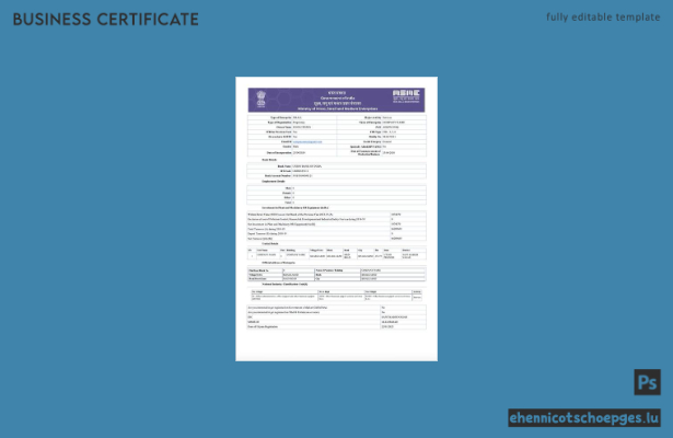 India Udyam Registrierungszertifikat (Word und PDF), Version 6 – Beispielvorschau